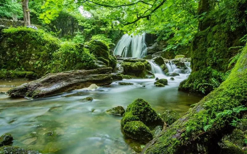 节能电子高性能